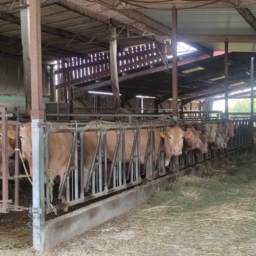 COLIS sur demande